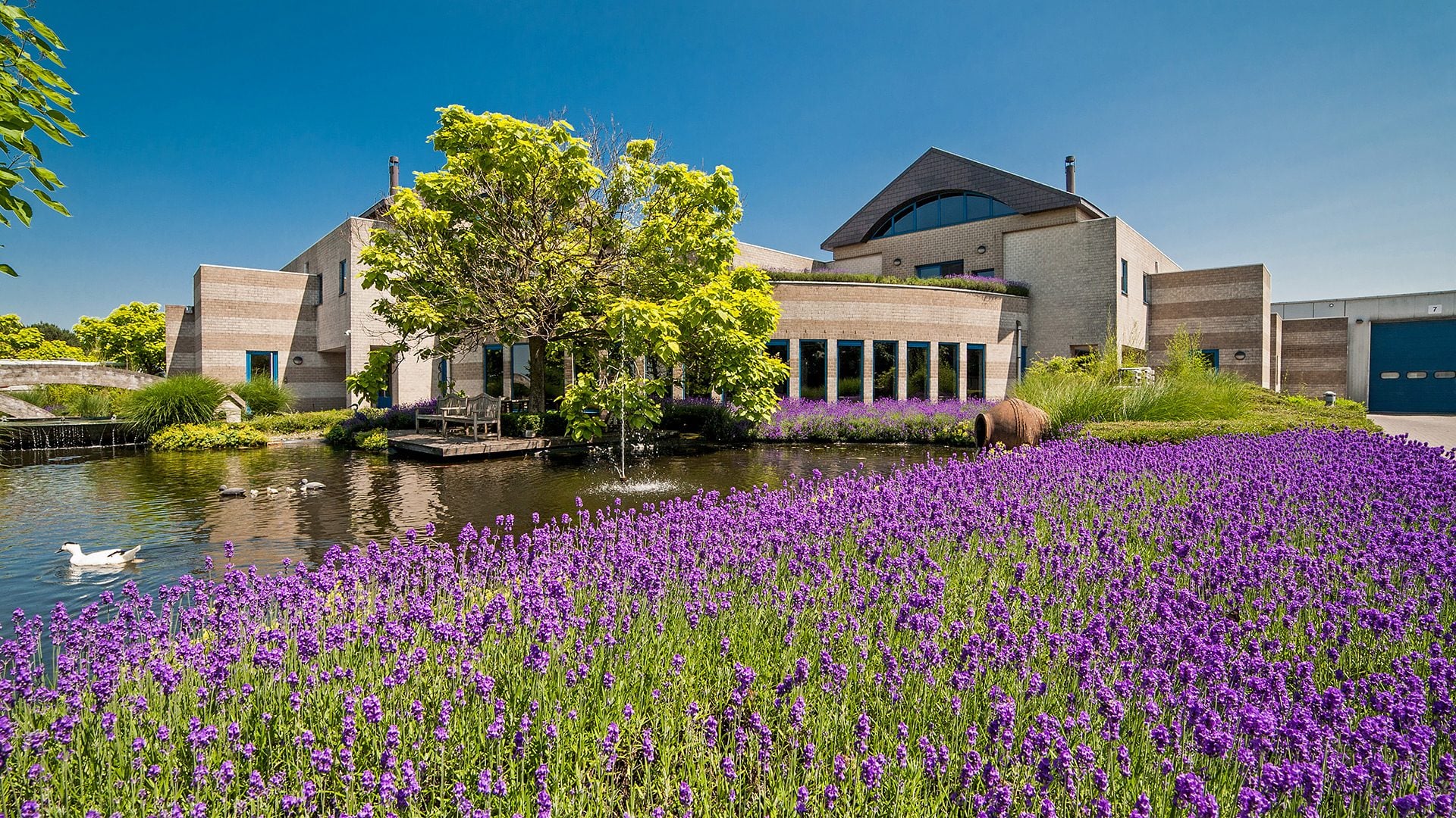 Fotogalerij - Wilki