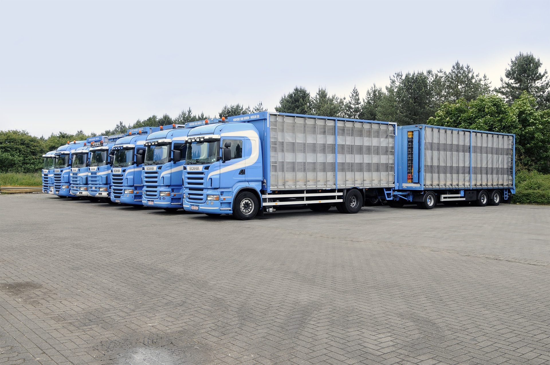 Wilki transport - Wilki